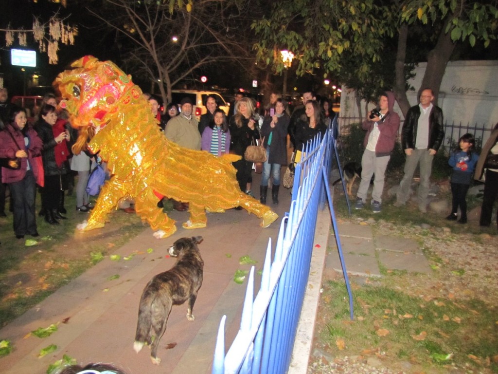 Perro del barrio viene a visitar al león chino durante su danza en la fiesta de la primavera china agosto de 2012 de Feng Shui Chile
